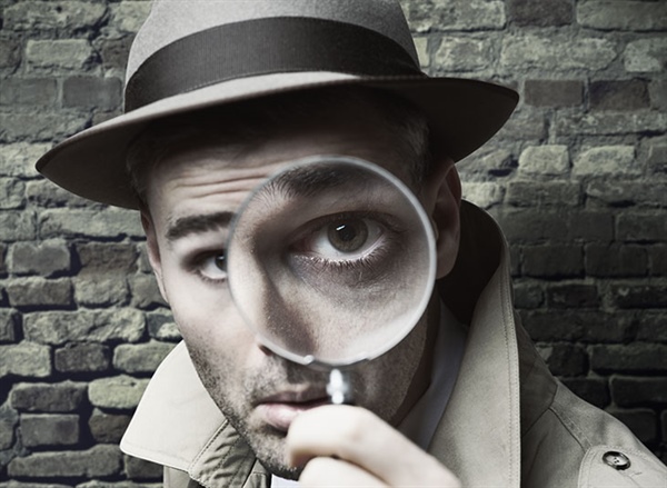 Check Systems Investigations